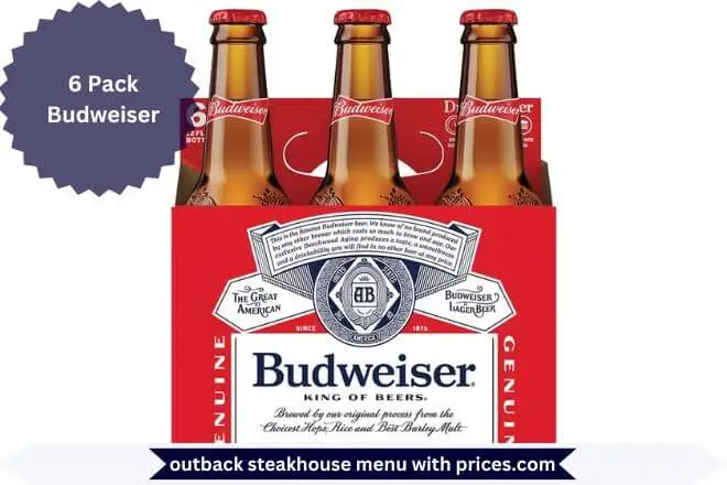 6 Pack Budweiser